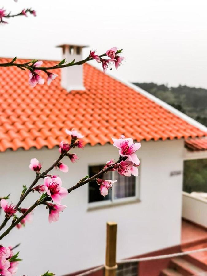 Villa O Refugio Coimbra Esterno foto
