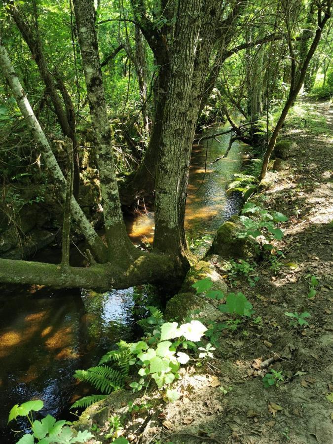Villa O Refugio Coimbra Esterno foto